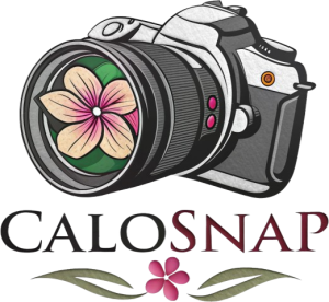 logo-removebg-preview