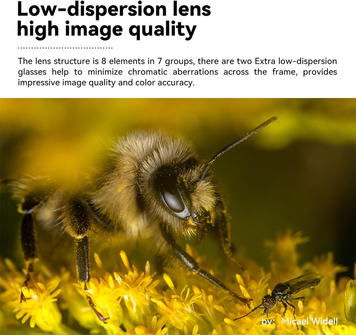 TTArtisan 40mm f/2.8 Macro Lens APS-C Manual Focus Prime Lens for E-Mount A5100 A6100 A6500 A6600 A6700 NEX-3N NEX-3R NEX-5T NEX-5R NEX-7 A7II A7M3 A7RIV A7R5 A7S A9 A1 II - Image 3