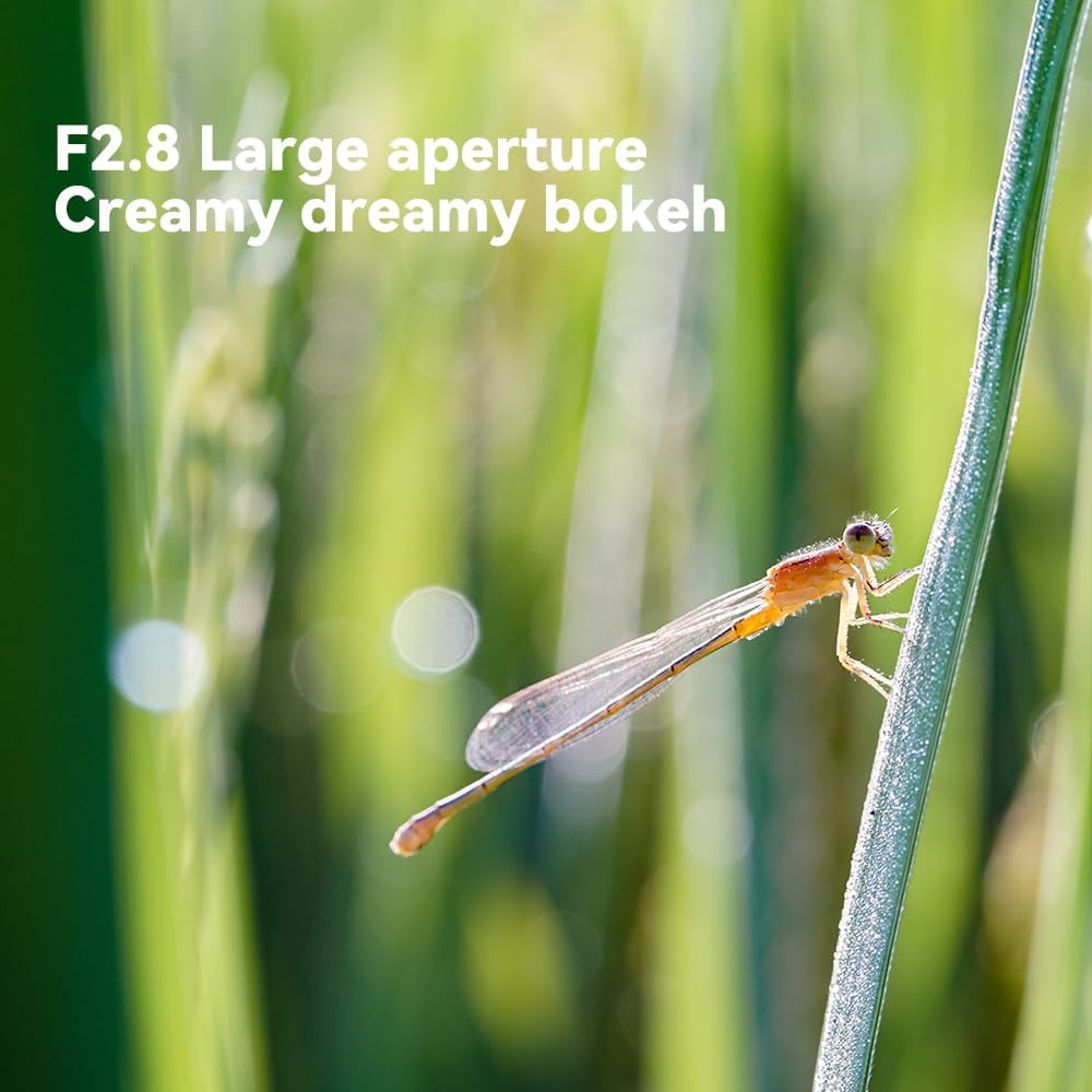 TTArtisan 40mm f/2.8 Macro Lens APS-C Manual Focus Prime Lens for E-Mount A5100 A6100 A6500 A6600 A6700 NEX-3N NEX-3R NEX-5T NEX-5R NEX-7 A7II A7M3 A7RIV A7R5 A7S A9 A1 II - Image 5